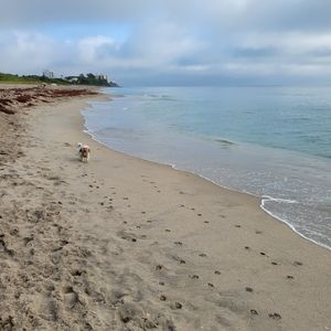 I'm selling  gently used or like new name brand clothes, shoes and handbags.